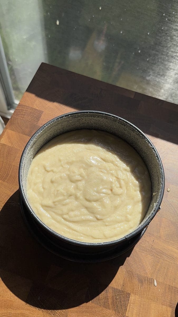 The cake batter in a springform pan.