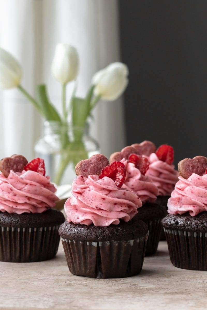 straight-on view of the chocolate raspberry cupcakes