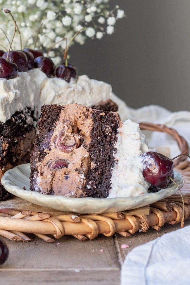 A slice of the chocolate cherry cake.