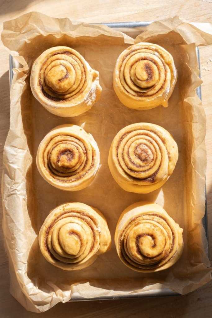 The rolls on a baking tray, prior to baking.