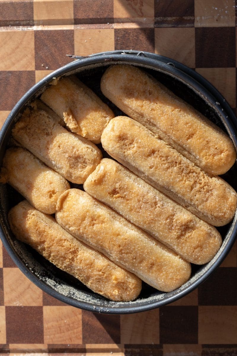 Espresso soaked ladyfingers on top of the cake.