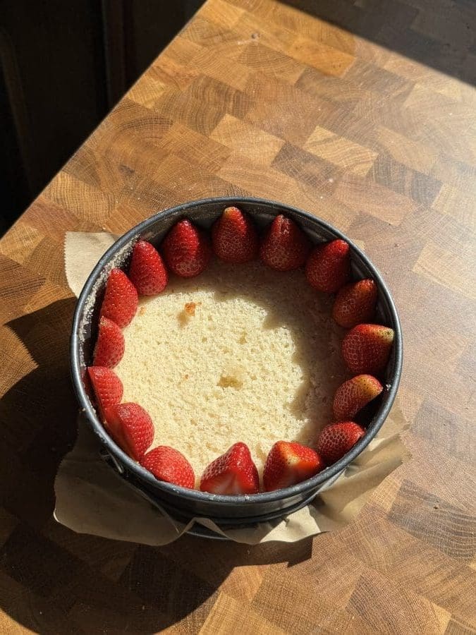 The strawberries lined up around the cake.