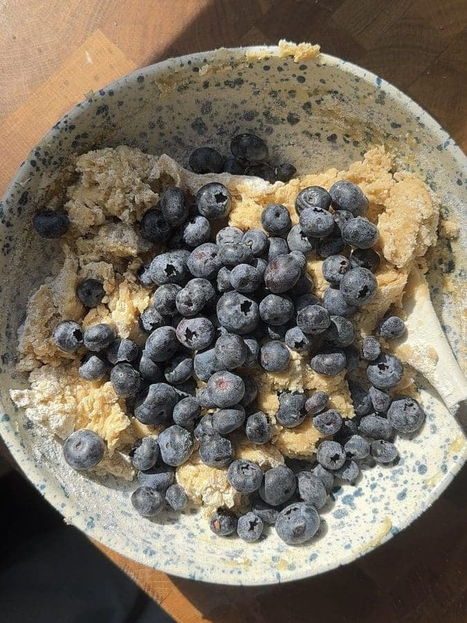 Blueberries on top of the dough.
