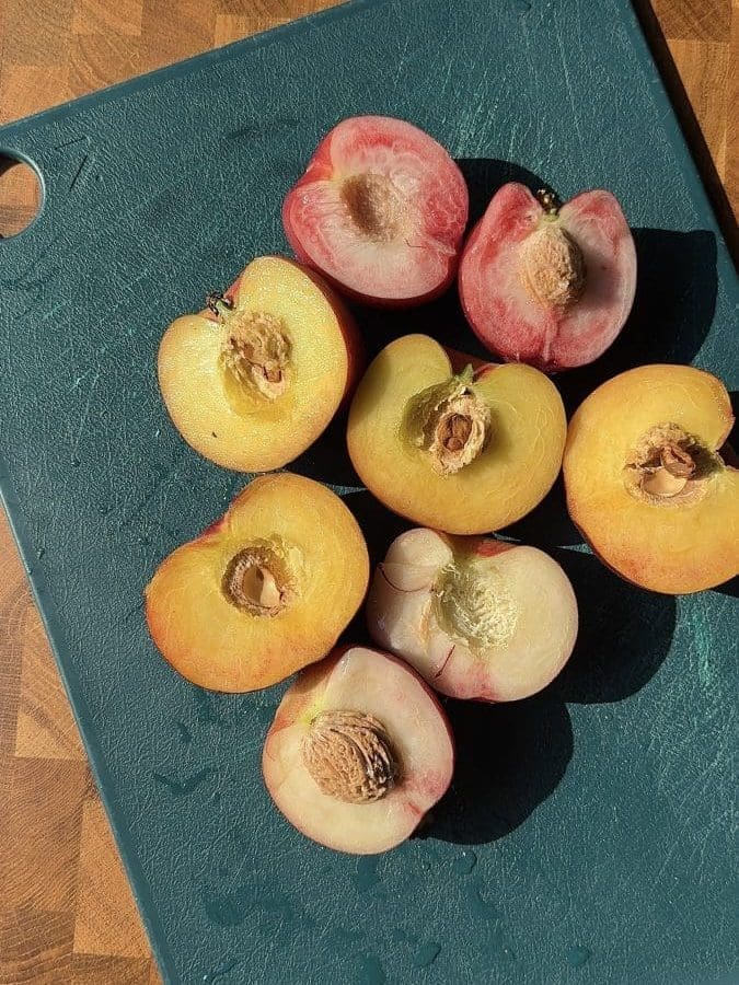 Fresh peaches sliced in half.