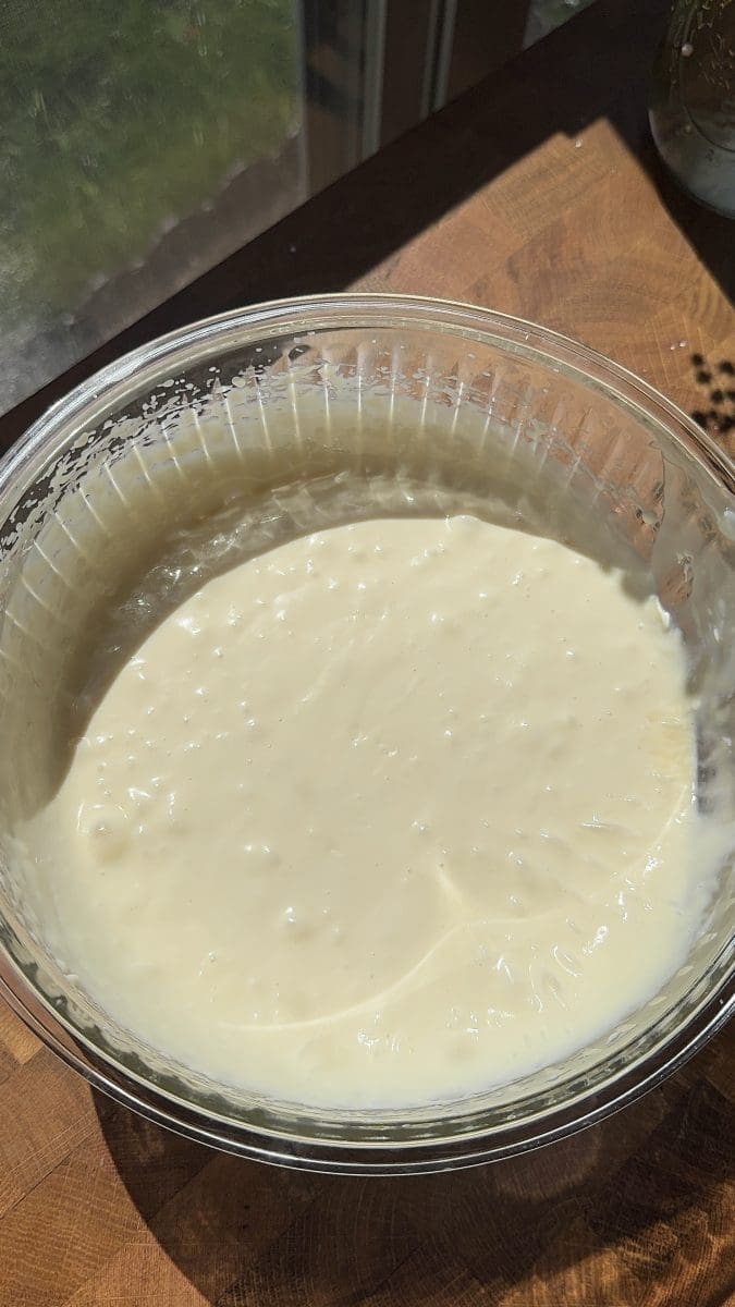 The mascarpone and condensed milk mixture.