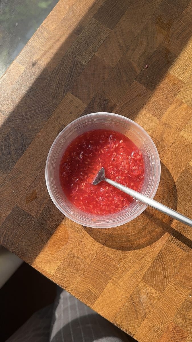The mashed raspberries and lemon juice.