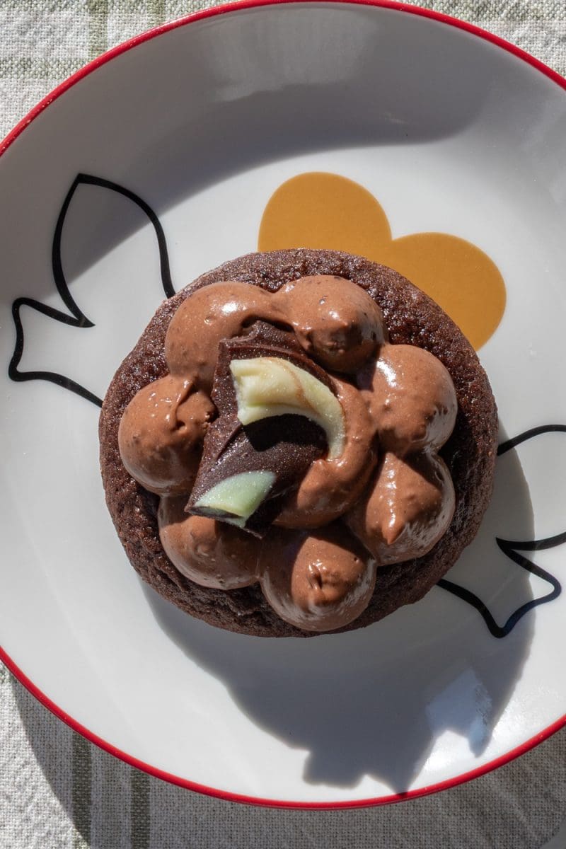 Mint Chocolate Bark Cookies